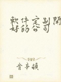 软件定制开发较好的公司