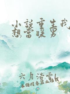 小说重生我真没想当暖男