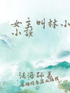 女主叫林小冉的小说
