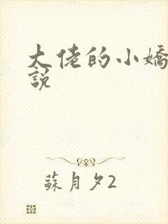 大佬的小娇夫小说