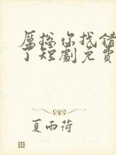 厉总你找错夫人了短剧免费全集在线观看