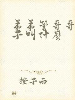 弟弟管哥哥的儿子叫什么
