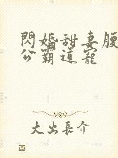 闪婚甜妻腹黑老公霸道宠