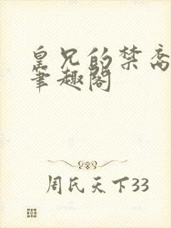 皇兄的禁裔小说笔趣阁