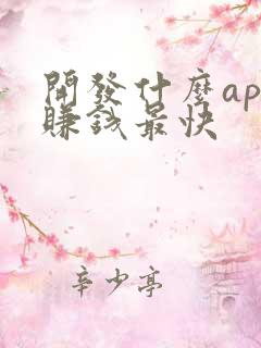 开发什么app赚钱最快