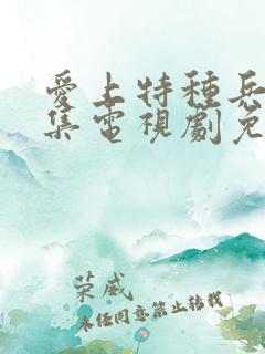 爱上特种兵40集电视剧免费看
