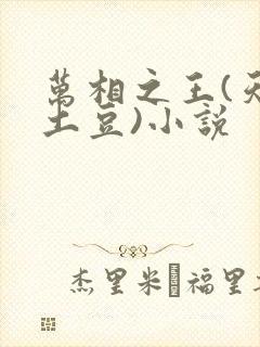 万相之王(天蚕土豆)小说
