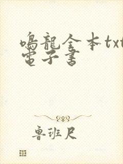 鸣龙全本txt电子书