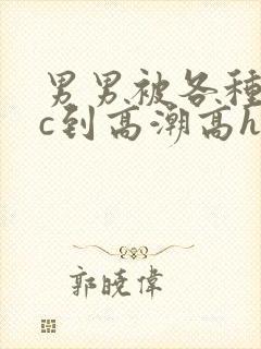 男男被各种姿势c到高潮高h