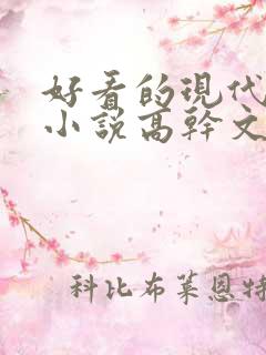 好看的现代言情小说高干文