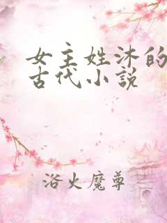 女主姓沐的重生古代小说