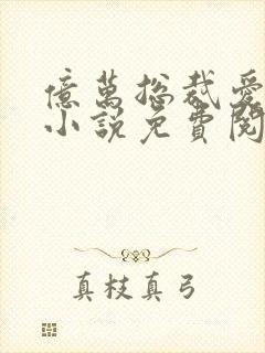 亿万总裁爱上我小说免费阅读全文
