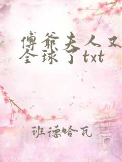 傅爷夫人又惊艳全球了txt