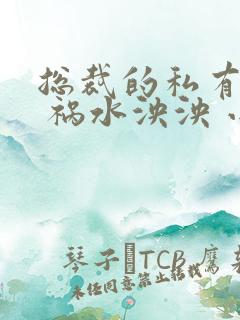 总裁的私有宝贝 祸水泱泱 小说