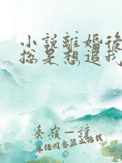 小说离婚后前夫总是想追我在线阅读