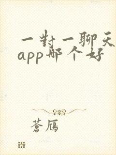 一对一聊天交友app哪个好