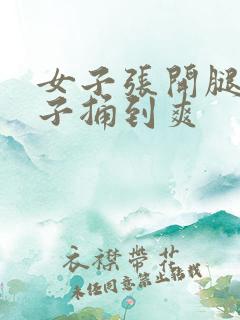 女子张开腿让男子捅到爽