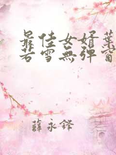 最佳女婿叶凡唐若雪无弹窗免费阅读
