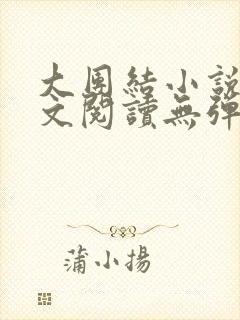 大团结小说集全文阅读无弹窗