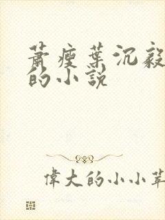 萧瘦叶沉毅主角的小说