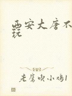 西安大唐不夜城玩