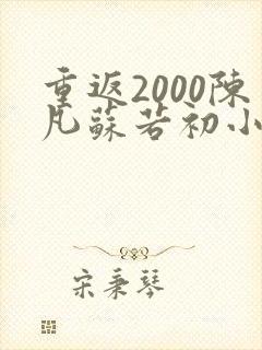 重返2000陈凡苏若初小说