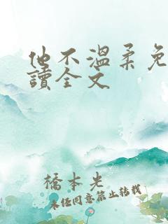 他不温柔免费阅读全文