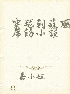 穿越到苏联当主席的小说