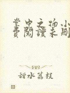 掌中之物小说免费阅读未删减版