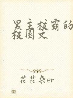 男主校霸的甜宠校园文