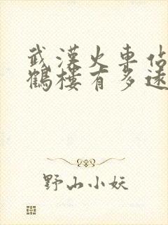 武汉火车站离黄鹤楼有多远
