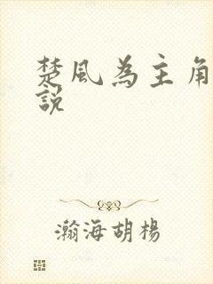 楚风为主角的小说