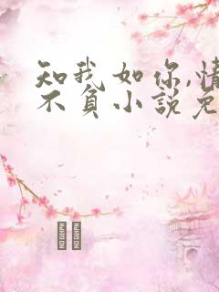 知我如你,情深不负小说免费阅读