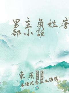 男主角姓唐的全部小说