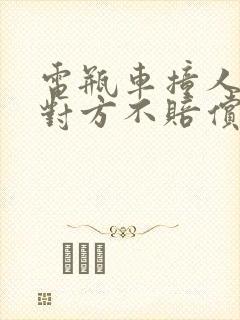 电瓶车撞人全责对方不赔偿怎么办?