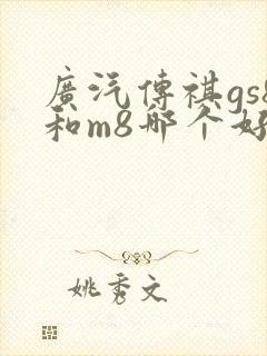 广汽传祺gs8和m8哪个好