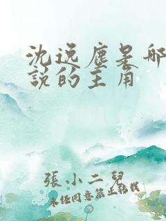 沈逸尘是哪本小说的主角