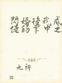 闪婚后我成了大佬的掌中之物无删减