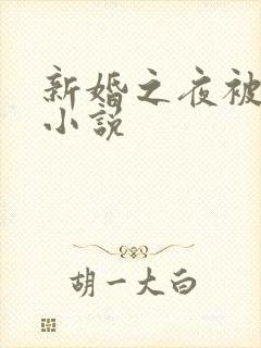 新婚之夜被肉伦小说