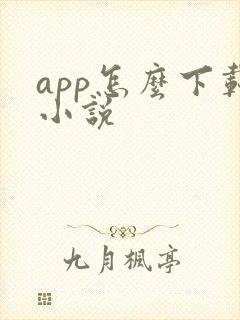app怎么下载小说