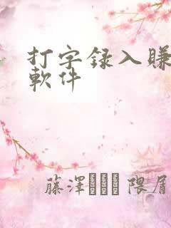 打字录入赚钱的软件