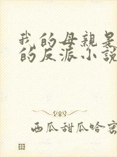 我的母亲是最大的反派小说免费阅读