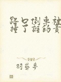 路口倒车被后车撞了谁的责任