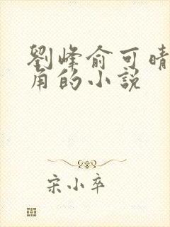刘峰俞可晴为主角的小说