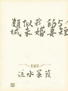 类似我的5个倾城未婚妻短剧
