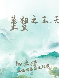 万相之王.天蚕土豆