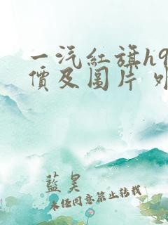 一汽红旗h9报价及图片 外观