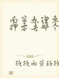 南宁办理车辆解押要去哪个车管所
