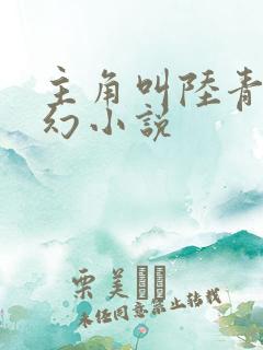 主角叫陆青的玄幻小说 主角叫陆青的玄幻小说