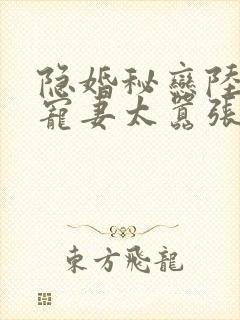 隐婚秘恋陆少娇宠妻太嚣张免费阅读